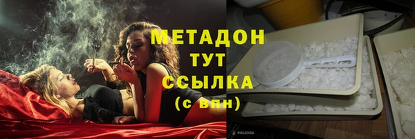сатива Бронницы