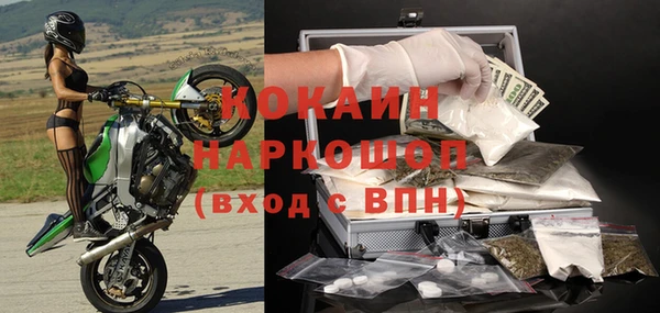 сатива Бронницы