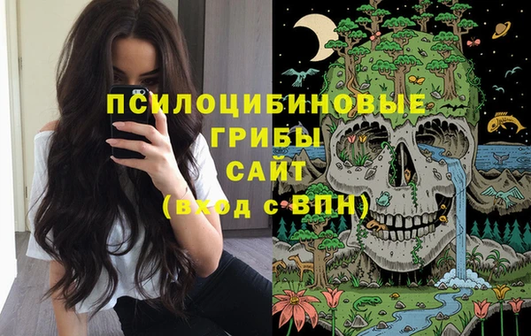 сатива Бронницы