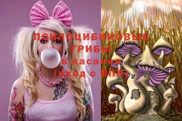 сатива Бронницы