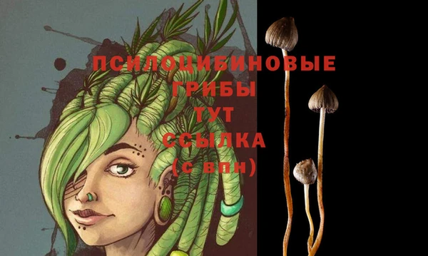 а пвп мука Бородино
