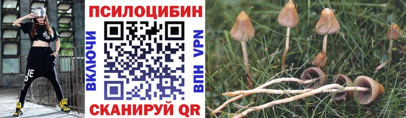 mega зеркало  Семёнов  Галлюциногенные грибы MAGIC MUSHROOMS  где можно купить  